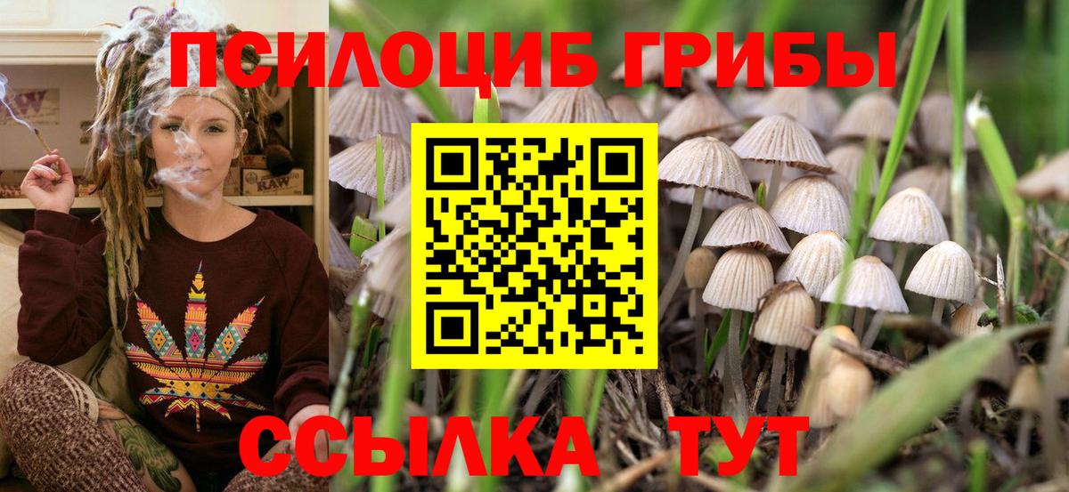 Галлюциногенные грибы мухоморы Самара